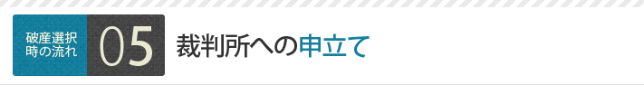 裁判所への申立て